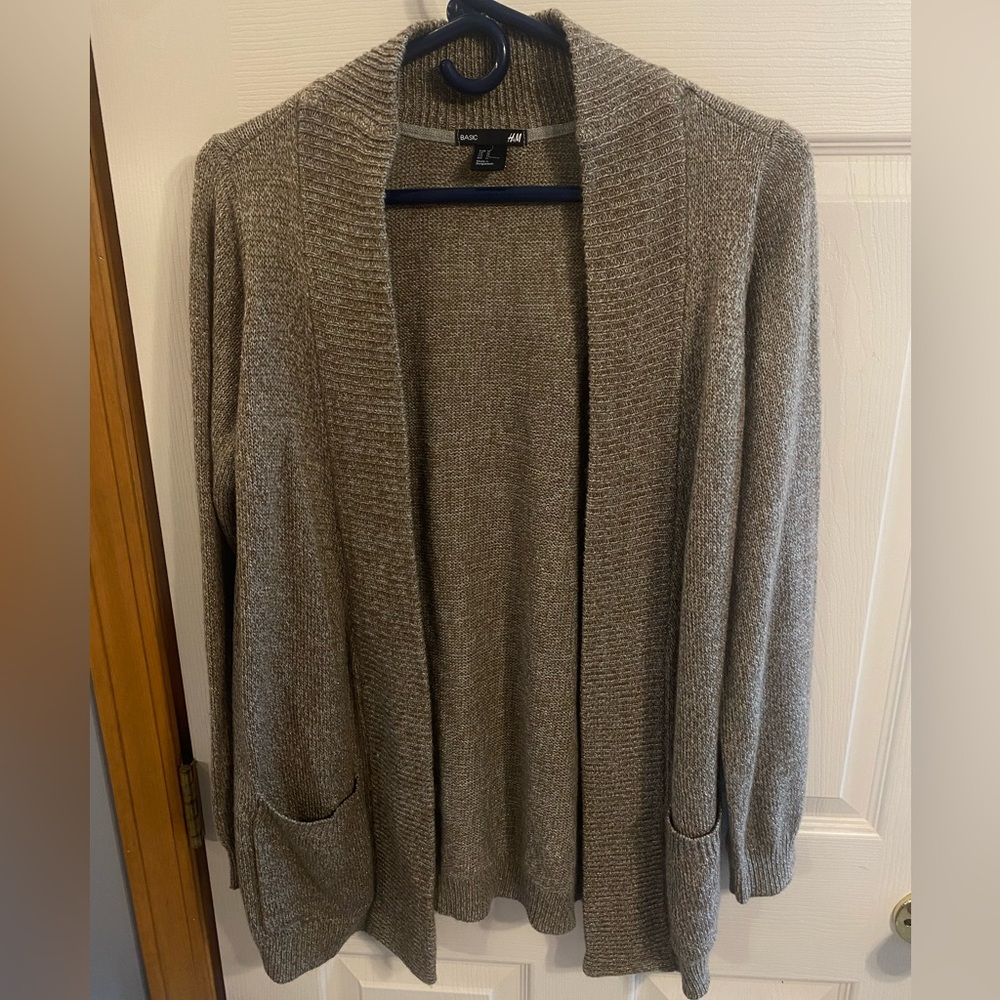H&M Sparkly Sweater w/ Pockets